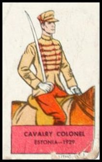 Cavalry Colonel